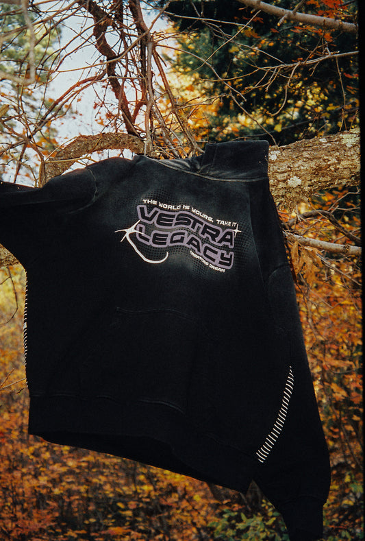 Spider premium heavyweight hoodie